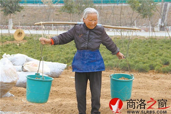 83岁的郭福堂依旧坚持劳作