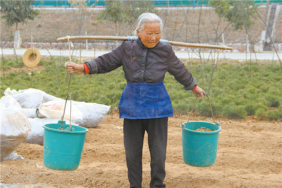 一分田地种希望