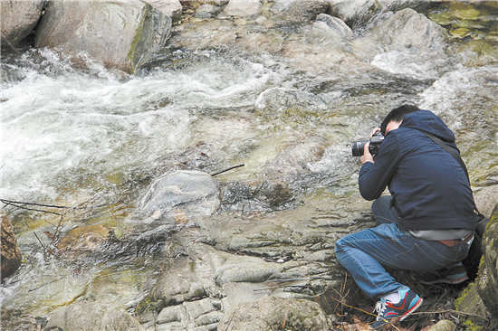 南水北调工程的商洛贡献
