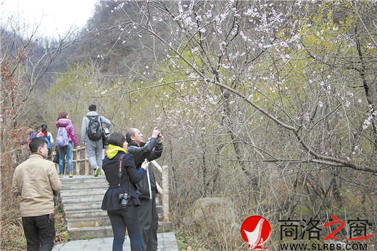 牛背梁景区优美的自然风光让采访团的记者流连忘返