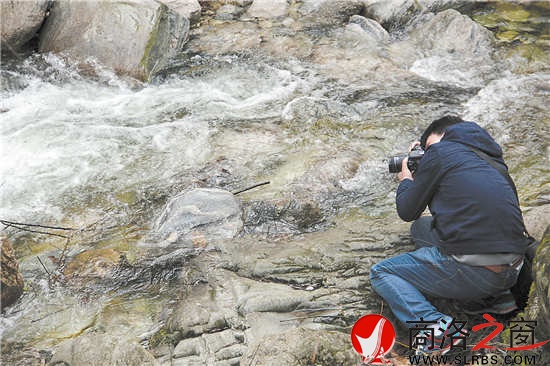 秦岭山中清澈的山泉吸引着记者的镜头