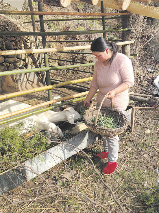 90后女子的甜蜜生活