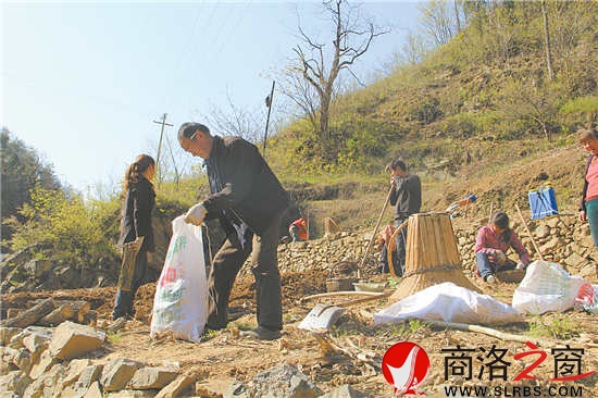 正是种猪苓的时候,田地里随处可见种植的农户。