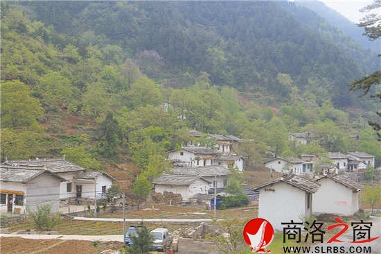 下过雨的山间，将军石沟的石板房在绿树的衬托下更加生动。