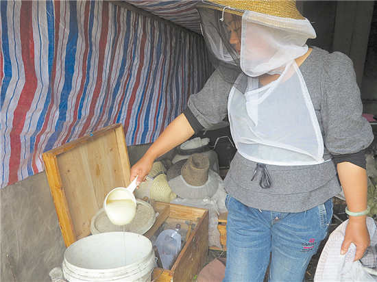 和蜜蜂一起流浪