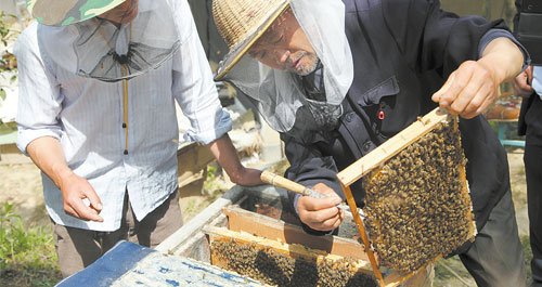 天竺山下的养蜂人