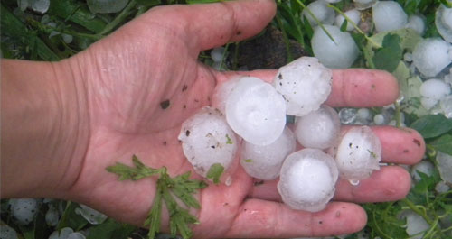 高耀镇遭受百年不遇冰雹灾害