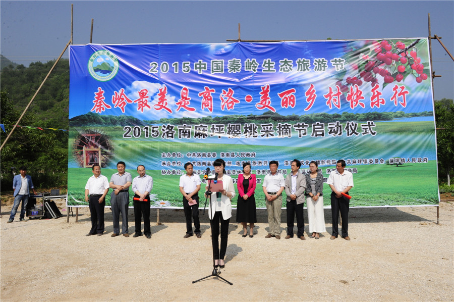 “秦岭最美是商洛·美丽乡村快乐行”洛南麻坪樱桃采摘节启动