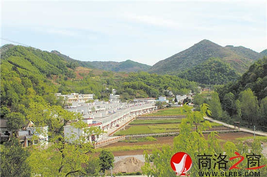 绿树掩映的移民小区