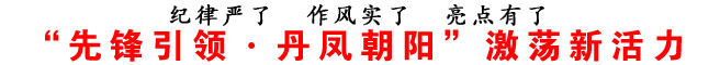 “先锋引领·丹凤朝阳”激荡新活力