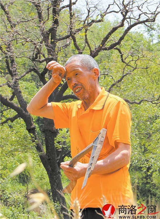 太阳当头，谢根曹割一会麦子就满头大汗，让我们倍感农民的辛苦。