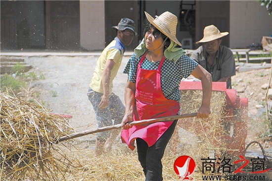 打麦关键在于互相协作