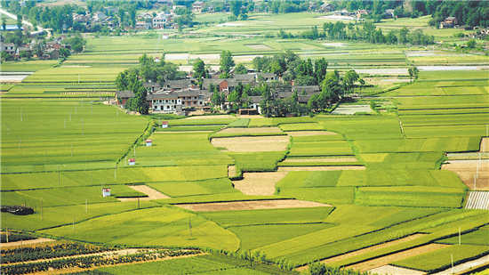 诗情画意王家庄