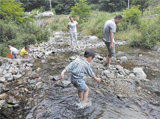 老杨一家的快乐假期