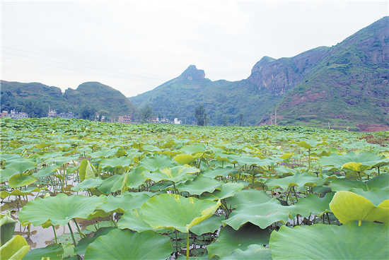 法官庙风光怡人