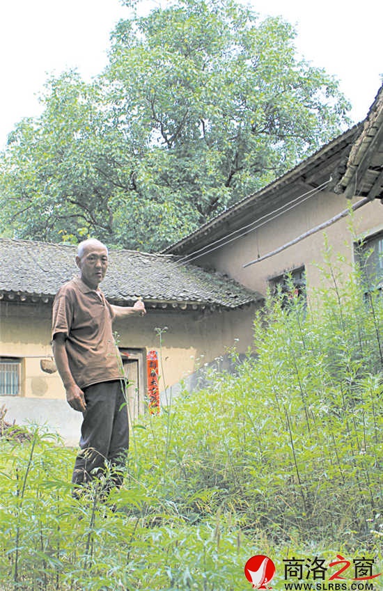 在村里，十有八九的农家院落已长满了蒿草。留守在村里的人路过这些院落，会不由自主地想起院落主人。