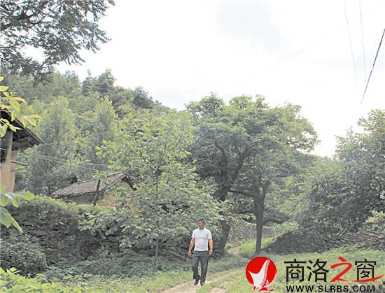 家乡的这条路杨安平已走了多年，但他每次经过这里，都有一种深深的眷恋。