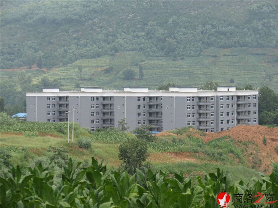 洛南县柏峪寺镇茶房整村推进一期工程顺利竣工新村美如画