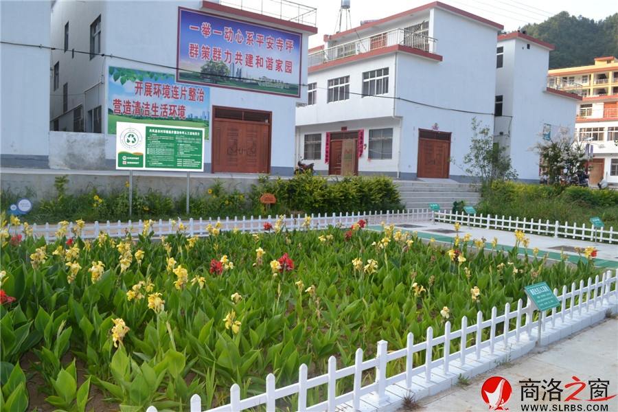 丹凤县寺坪镇酶促生态环境建设人工湿地竣工