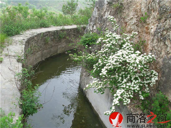 花谢花开，饱经沧桑岁月的洛惠渠依然发挥着灌溉之利。