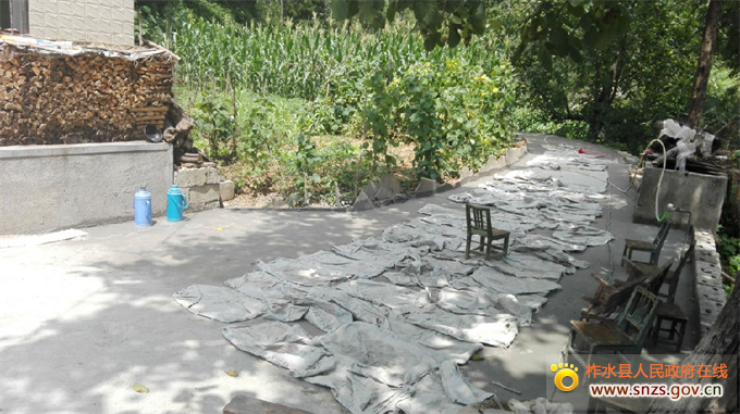 柞水金米村美丽乡村建设如火如荼