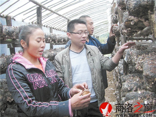 赵启飞指导群众发展香菇栽培