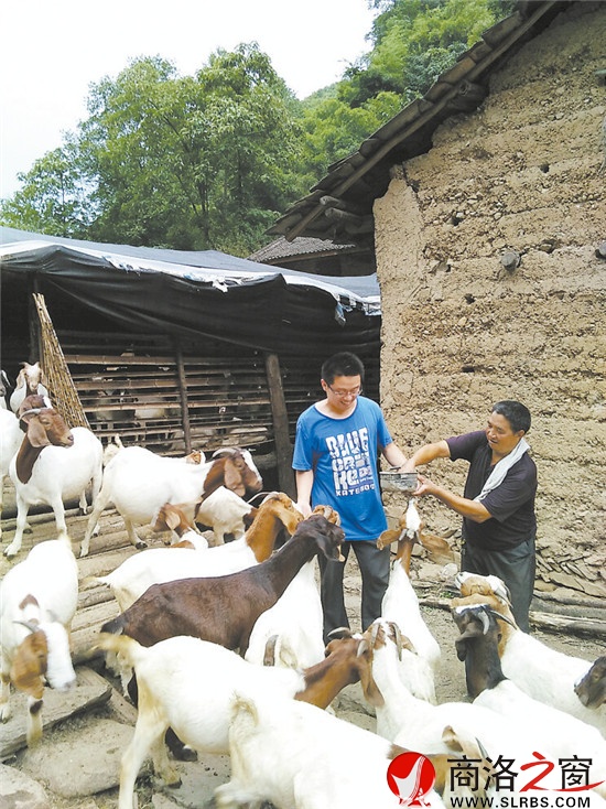 赵启飞深入养殖场帮助养殖村民解决困难。