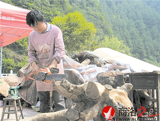 郭占奎正在锯一块木头，他打算将其加工成茶海。