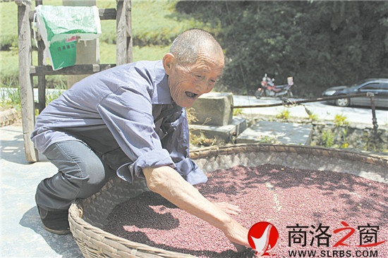 程朝坤老人一生勤俭，虽已90高龄，仍坚持做些力所能及的劳动。