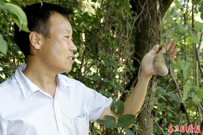 点击查看原始图片