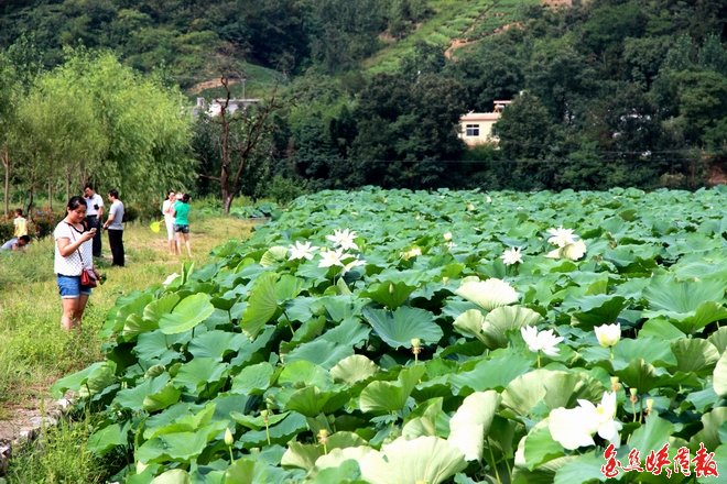 1-150R41049449A.jpg (660×440)