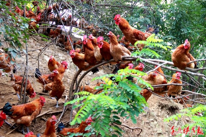 1-150R4105020S1.jpg (660×440)