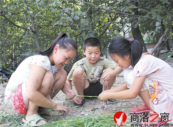 黄沙岭脚下，胡昊和小伙伴们正在给一只小鸟用草编笼子。