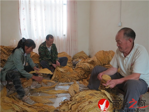 残疾人的致富路