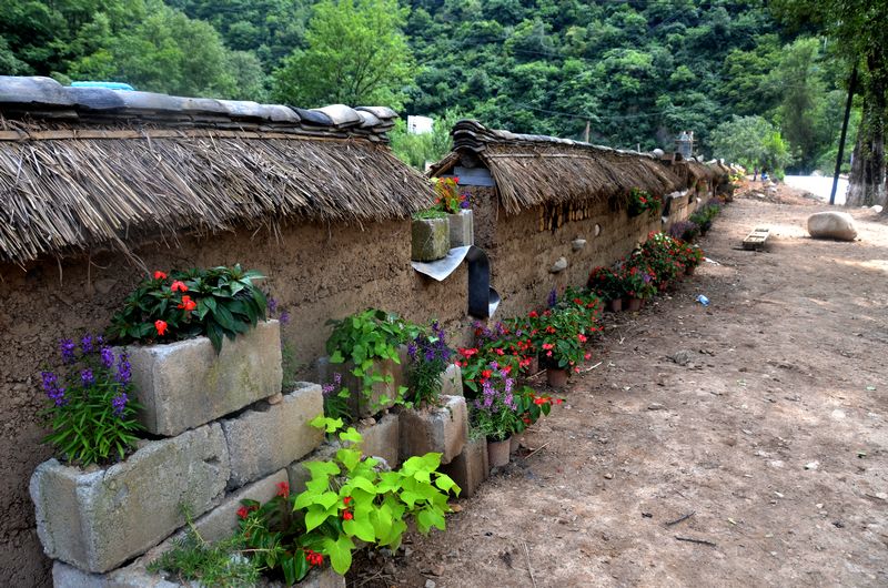 20150826051143525.jpg (800×530)