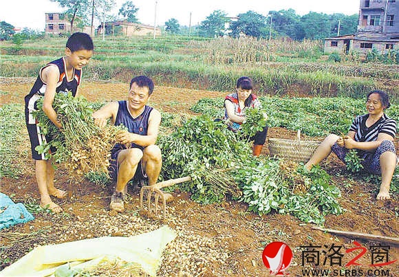 全家享受收获的喜悦