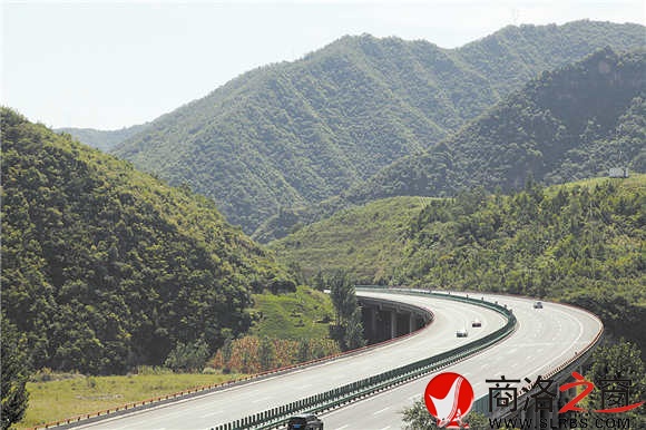 进入商南,就进入了绿色的世界。图为商界高速商南段森林景观。