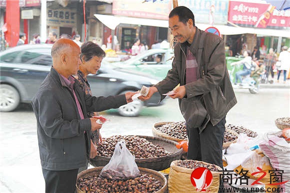 镇安大板栗在城里很吃香