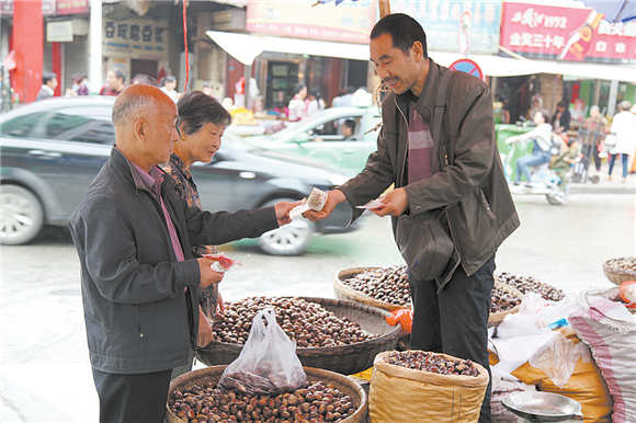 板栗咧嘴笑 栗农何时乐