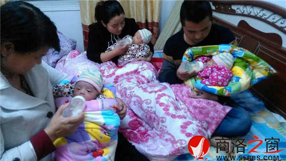 吉祥三宝同时降生,王涛一家无法抽身打工挣钱。