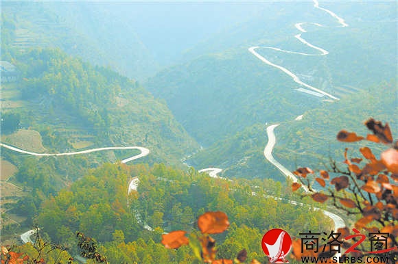 通往姬家河的乡村公路蜿蜒在绿海中，行走其中，就是一种享受。