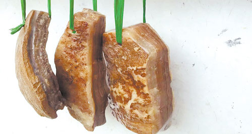 山阳发现珍奇猪肉石