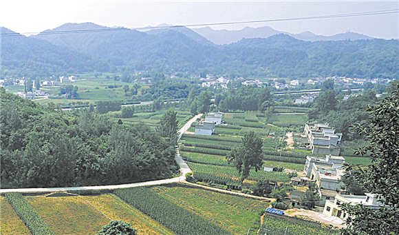 优美宜居小栗园