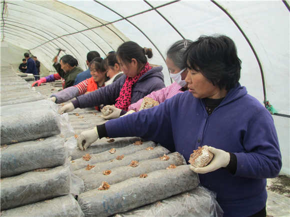 秦岭头上生态园