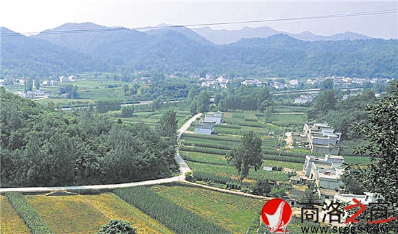 绿树掩映,风光秀美的小栗园村。