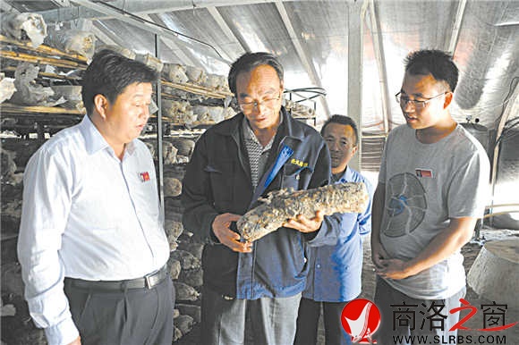 田耀凯在香菇大棚里与村民进行科管技术交流