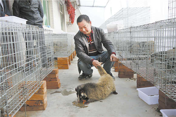 一个贫困村的蝶变