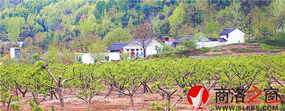 山楂园建设初具规模