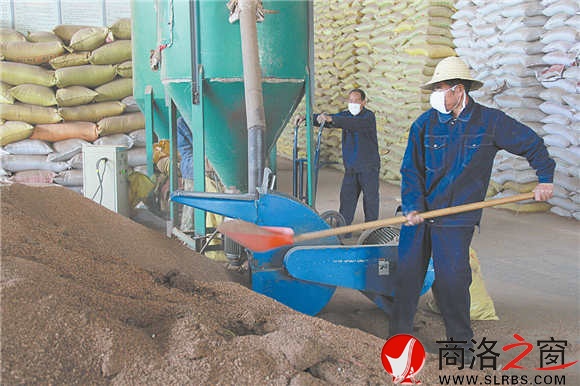 通过加工处理,商洛的核桃壳废料又被重新利用。