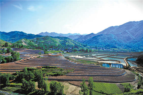 小山村的美丽嬗变